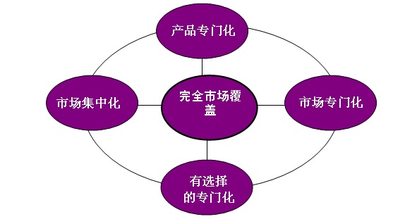 中国饲料打包秤产品目标市场选择策略及模式